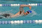 MSwim vs USCGA  Men’s Swimming & Diving vs US Coast Guard Academy. : MSwim, swimming